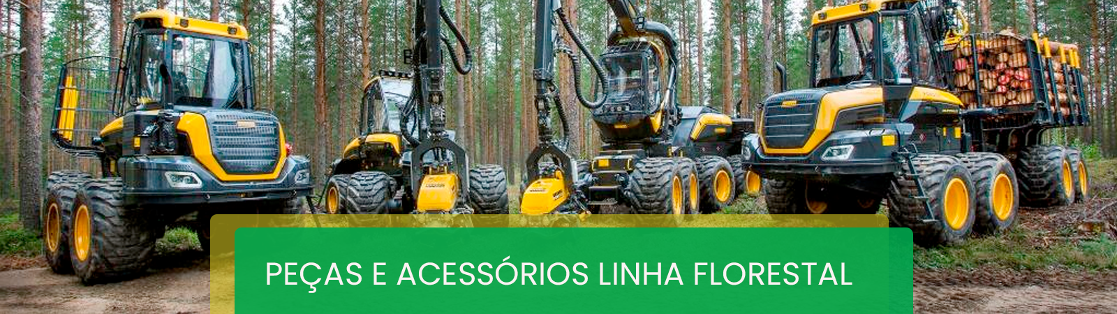 imagem slide
